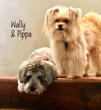 Pippa and Wally